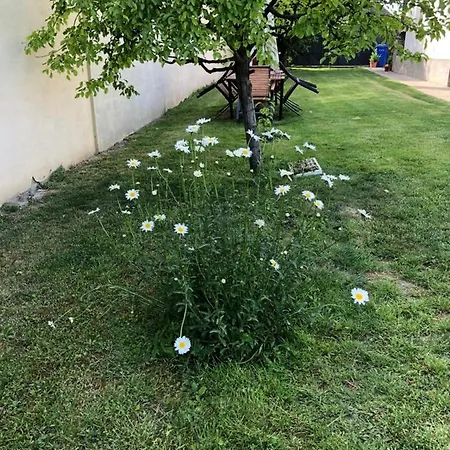 Villa Dolne Saliby Dolne Saliby