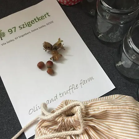 Oda ve Kahvaltı Villa Dolne Saliby *