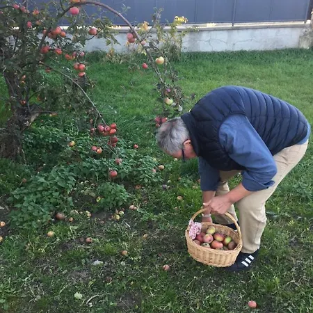 Villa Dolne Saliby Alojamento de Acomodação e Pequeno-almoço *