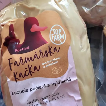 Villa Dolne Saliby *