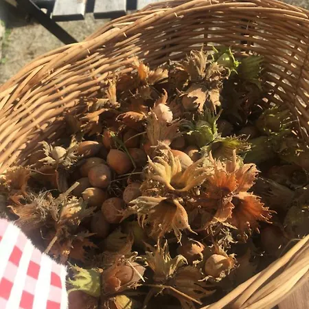 Villa Dolne Saliby Oda ve Kahvaltı *