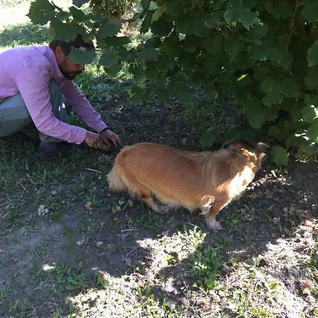 Villa Dolne Saliby Dolne Saliby