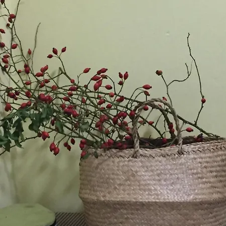 Villa Dolne Saliby Alojamento de Acomodação e Pequeno-almoço *