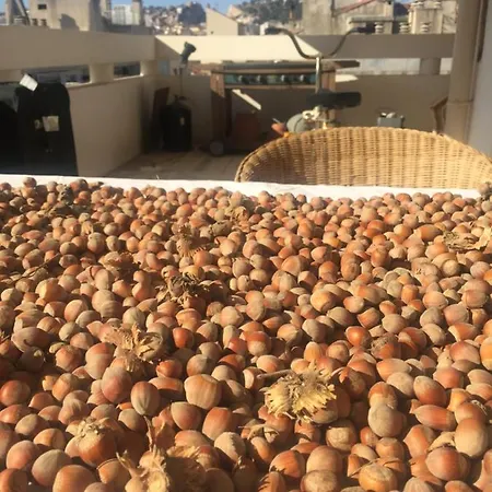 Villa Dolne Saliby Alojamento de Acomodação e Pequeno-almoço *