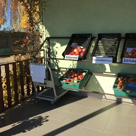 Villa Dolne Saliby Bed and breakfast Dolne Saliby