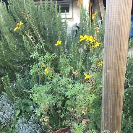 Villa Dolne Saliby Dolne Saliby