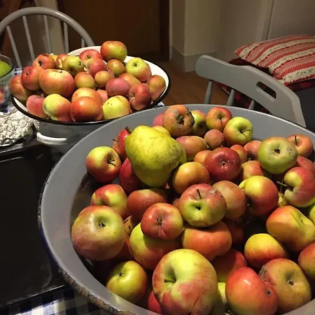 Oda ve Kahvaltı Villa Dolne Saliby *