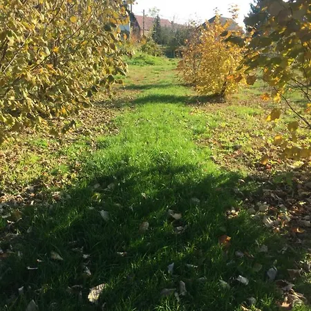 Villa Dolne Saliby Alojamento de Acomodação e Pequeno-almoço Dolne Saliby