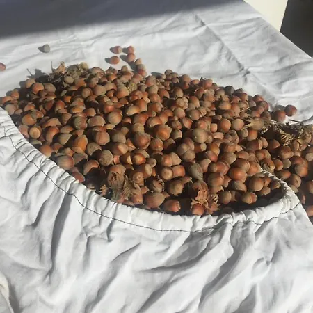 Alojamento de Acomodação e Pequeno-almoço Villa Dolne Saliby *