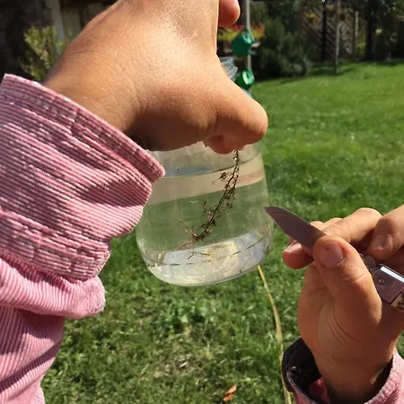 Villa Dolne Saliby Dolne Saliby