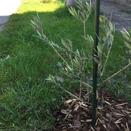 Villa Dolne Saliby Alojamento de Acomodação e Pequeno-almoço Dolne Saliby