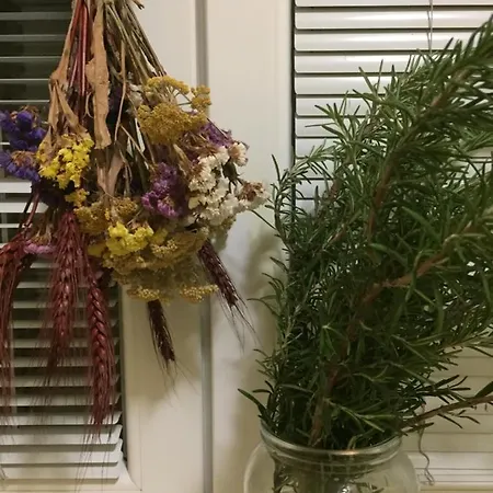 Villa Dolne Saliby *