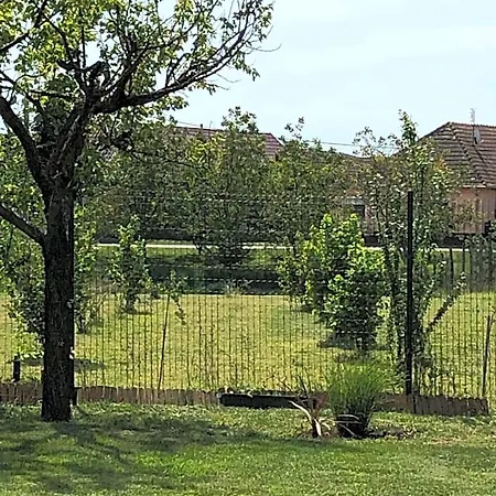 Villa Dolne Saliby B&B