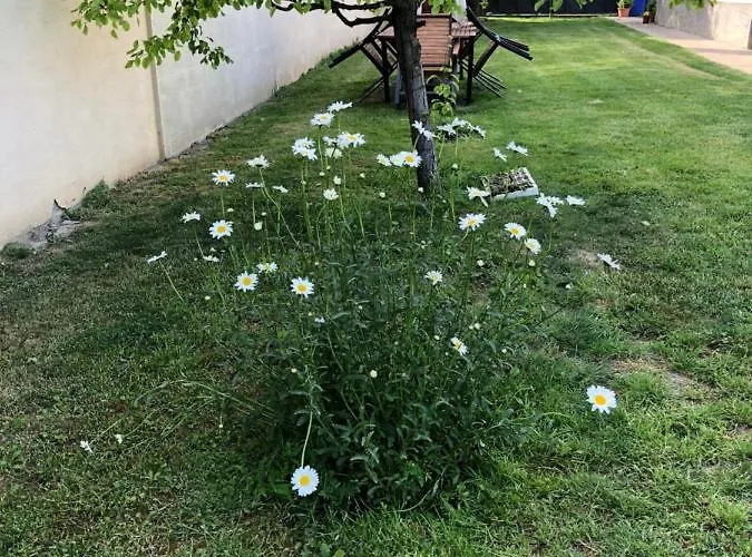 Villa Dolne Saliby Alsószeli