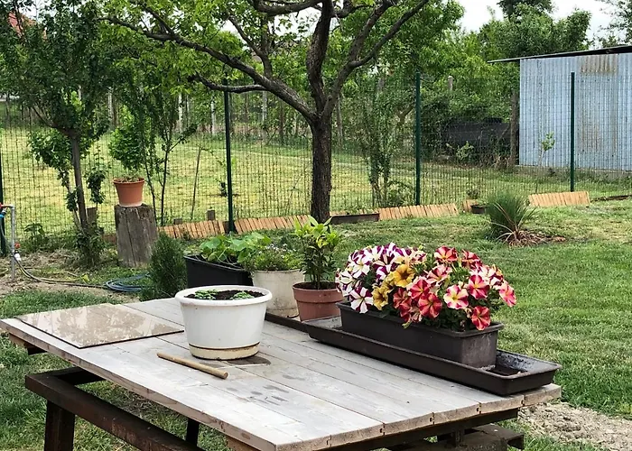 Villa Dolne Saliby Panzió Alsószeli