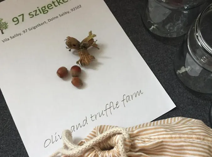 Panzió Villa Dolne Saliby *