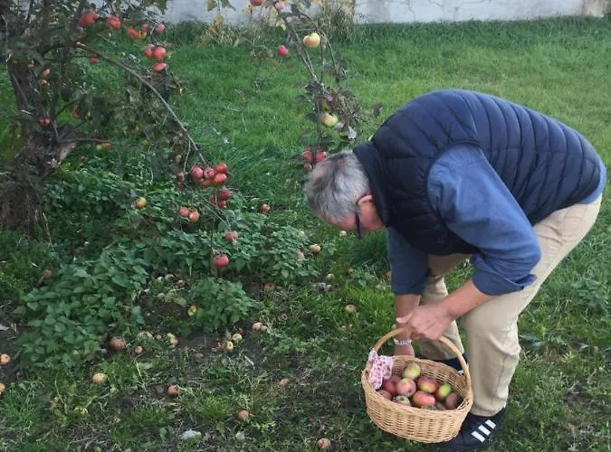 Villa Dolne Saliby Panzió *