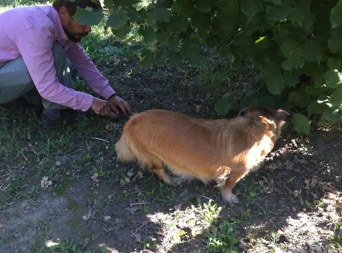 Villa Dolne Saliby Alsószeli