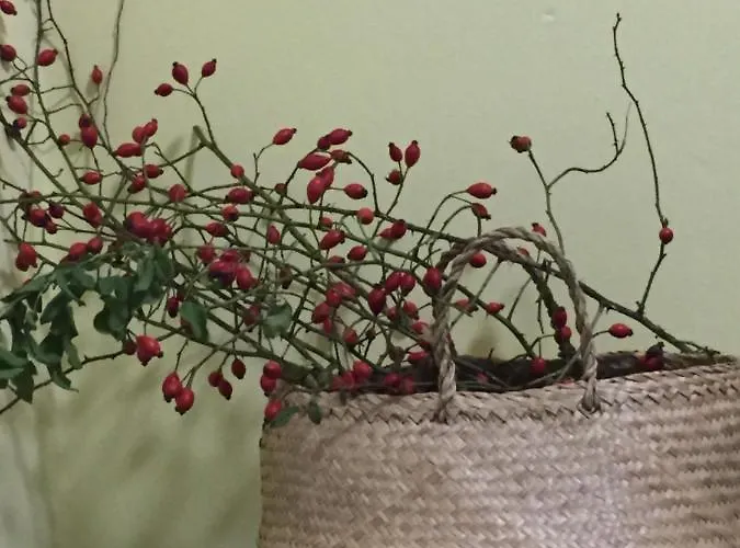 Villa Dolne Saliby Panzió *