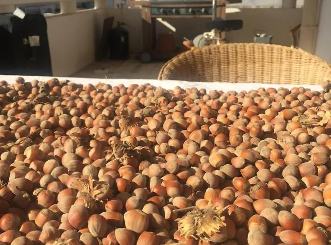 Villa Dolne Saliby Panzió *