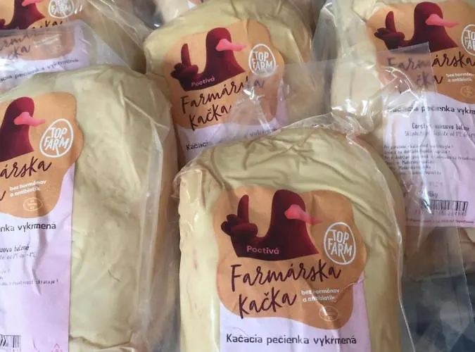 Villa Dolne Saliby Panzió Alsószeli