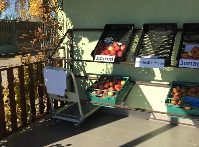 Villa Dolne Saliby Panzió Alsószeli