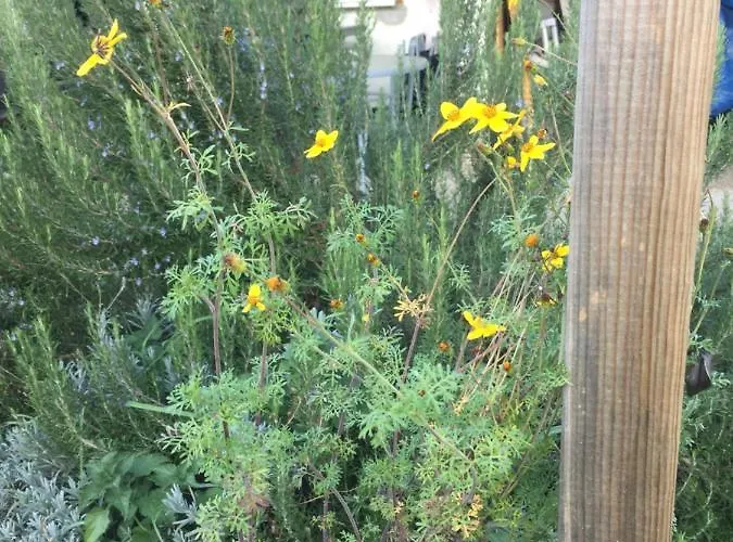 Villa Dolne Saliby Alsószeli