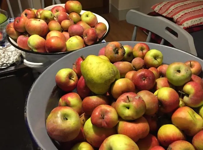 Panzió Villa Dolne Saliby *