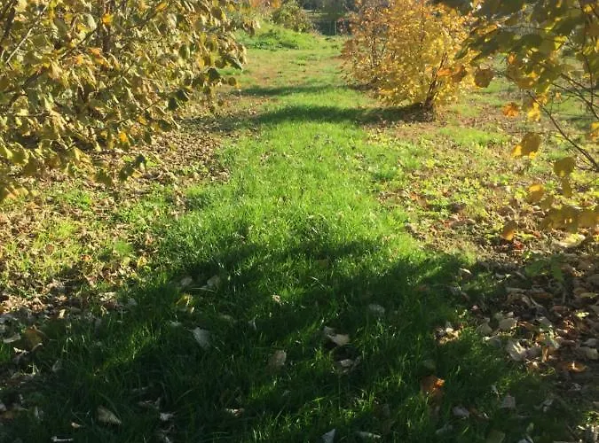Villa Dolne Saliby Panzió Alsószeli