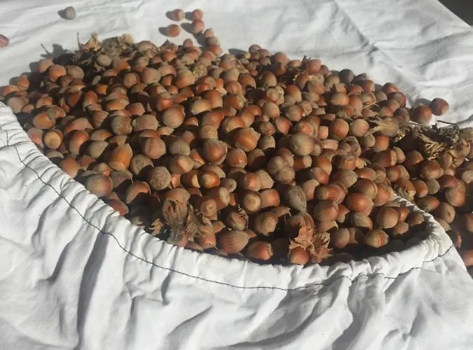 Panzió Villa Dolne Saliby *