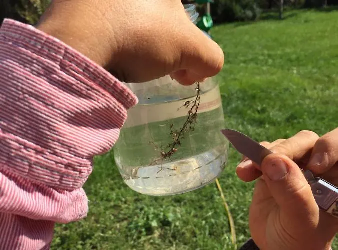 Villa Dolne Saliby Alsószeli