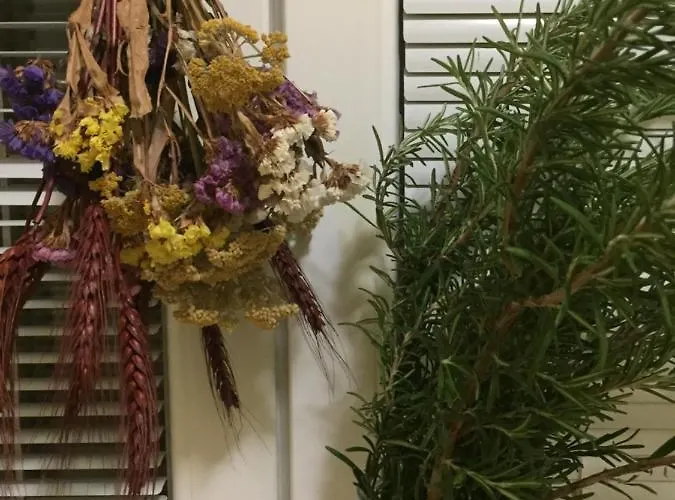 Villa Dolne Saliby *